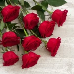 The man who had no shadow