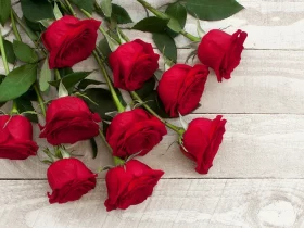 The man who had no shadow